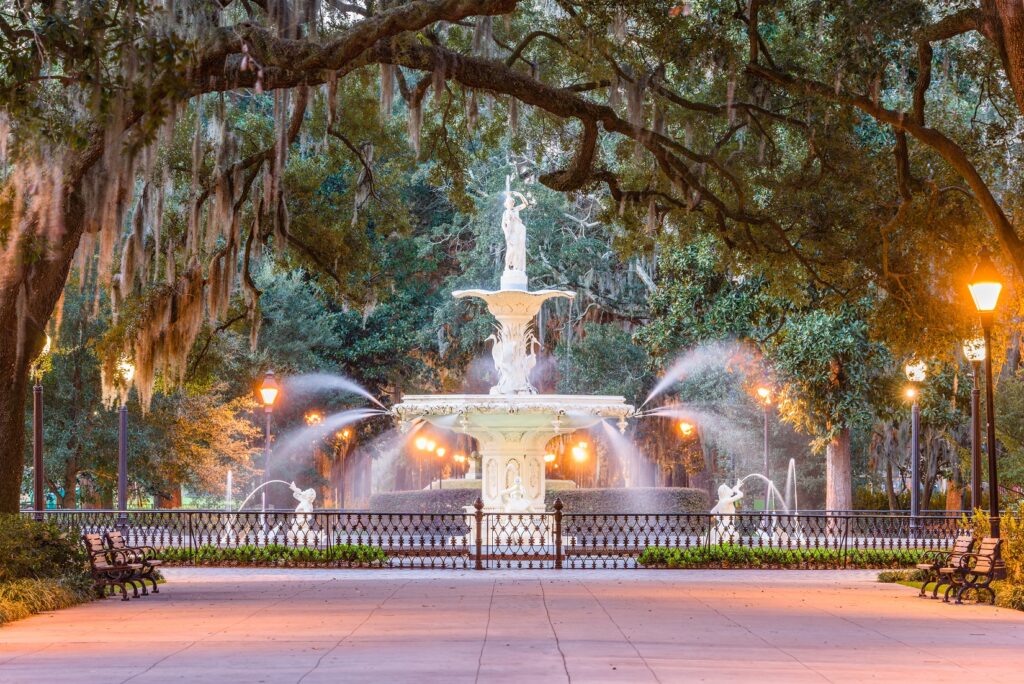 savannah