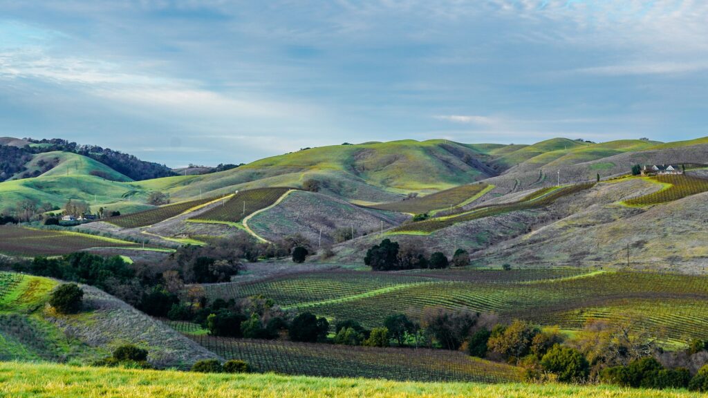 napa valley